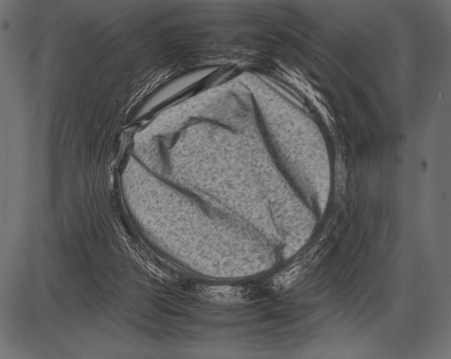 X0000085730153200704091453