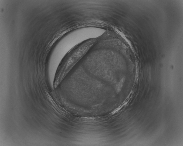 X0000085730154200704091453