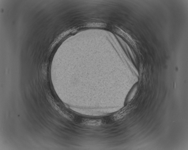 X0000085730155200704091453