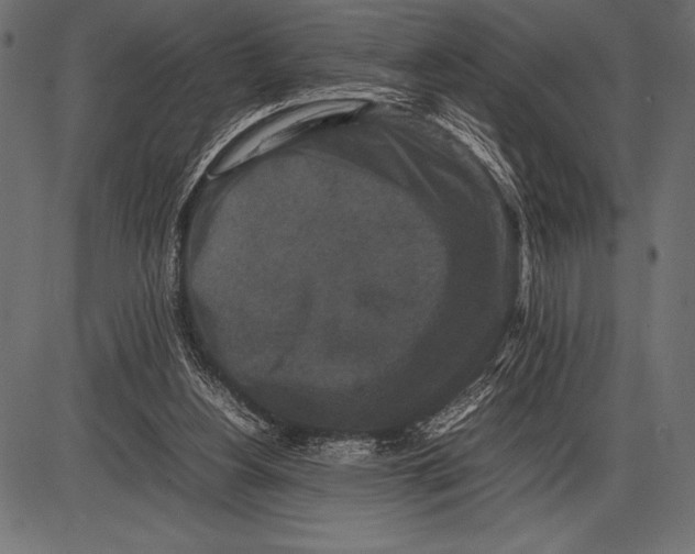 X0000085730156200704091453