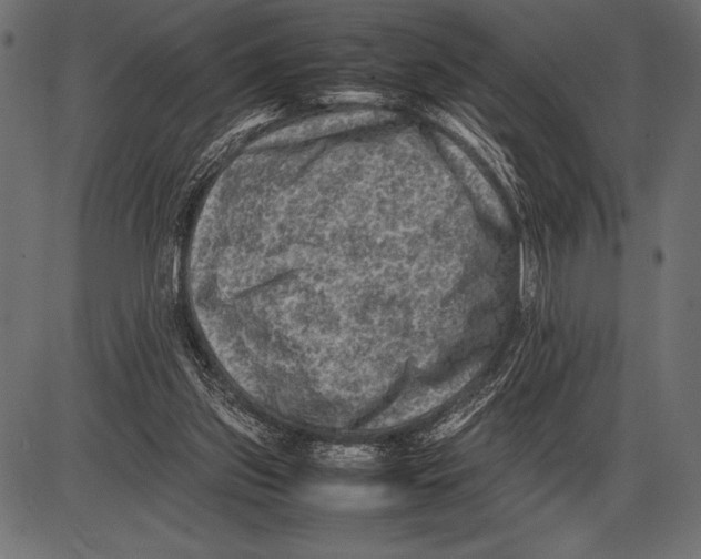 X0000085730157200704091453