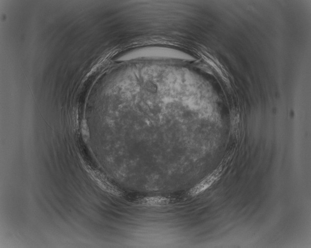 X0000085730158200704091453