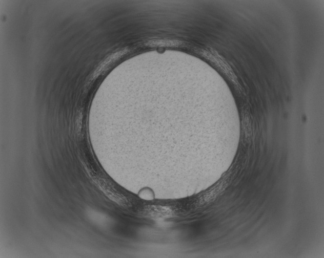 X0000085730159200704091453