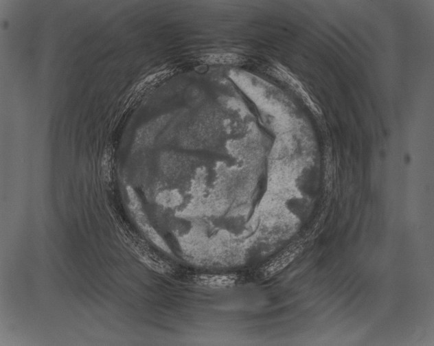 X0000085730161200704091453