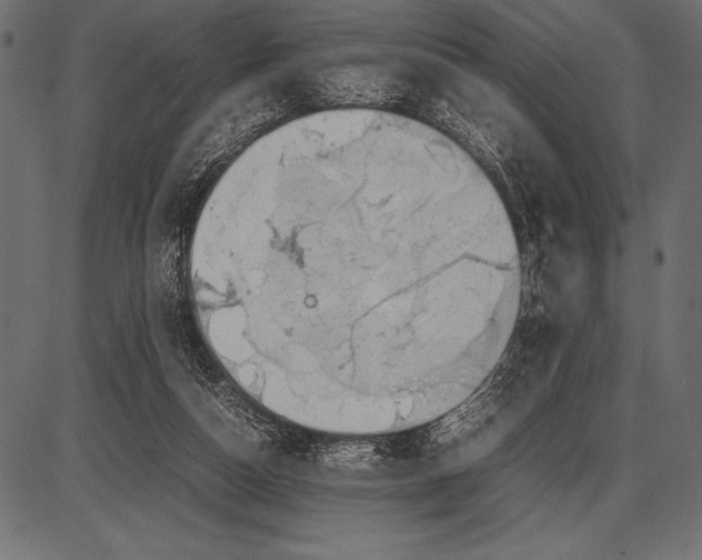 X0000085730162200704091453