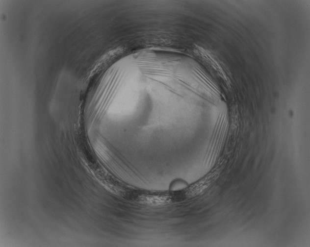 X0000085730163200704091453