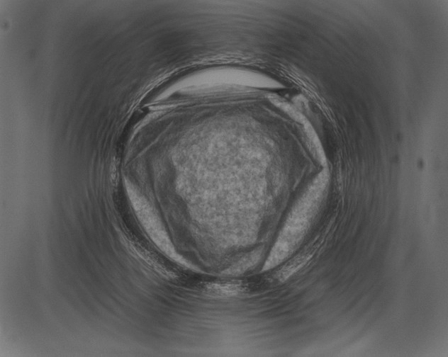 X0000085730164200704091453