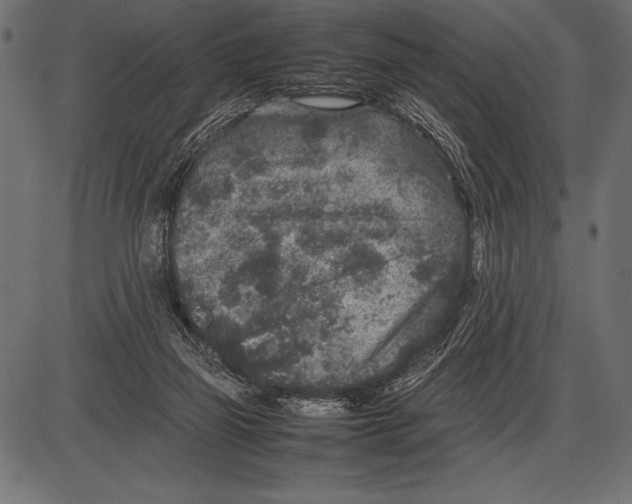 X0000085730165200704091453