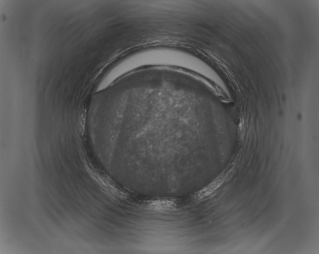 X0000085730168200704091453