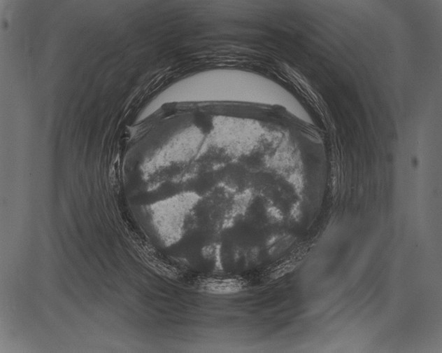 X0000085730169200704091453