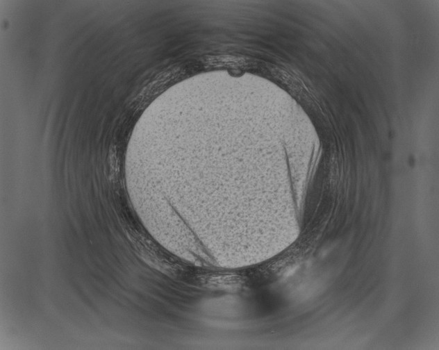 X0000085730173200704091453