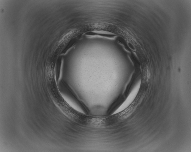 X0000085730176200704091453