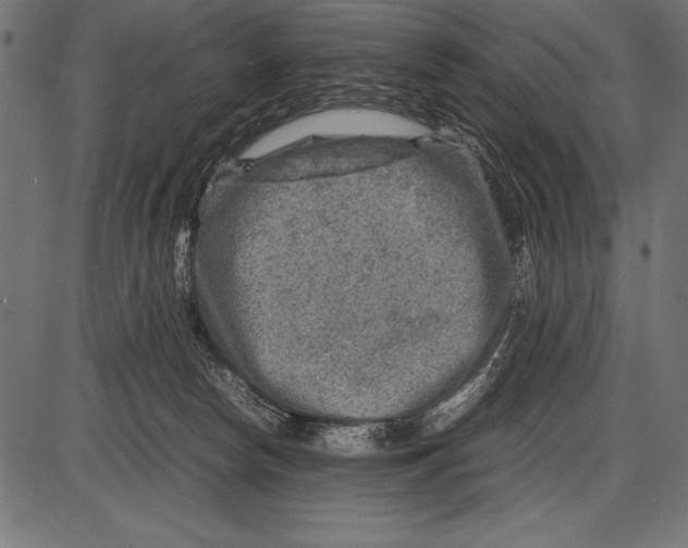 X0000085730178200704091453