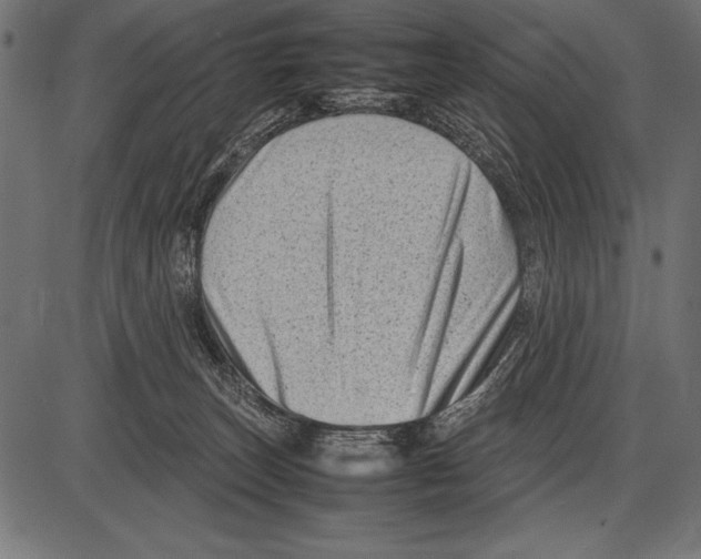 X0000085730179200704091453