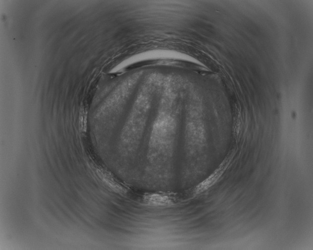 X0000085730180200704091453