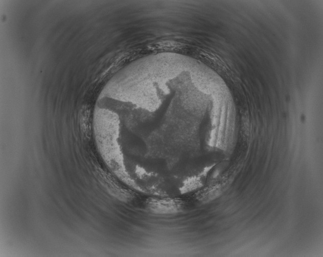 X0000085730181200704091453