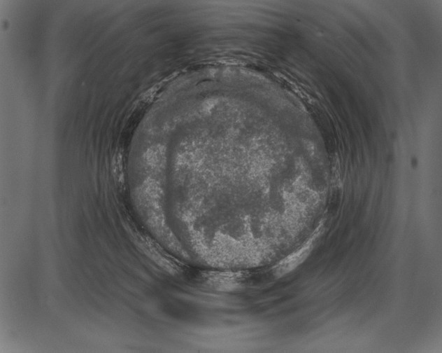 X0000085730182200704091453