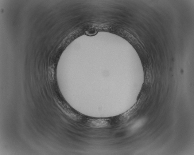 X0000085730183200704091453