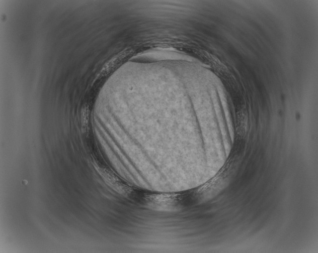 X0000085730184200704091453