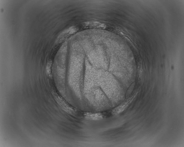 X0000085730185200704091453