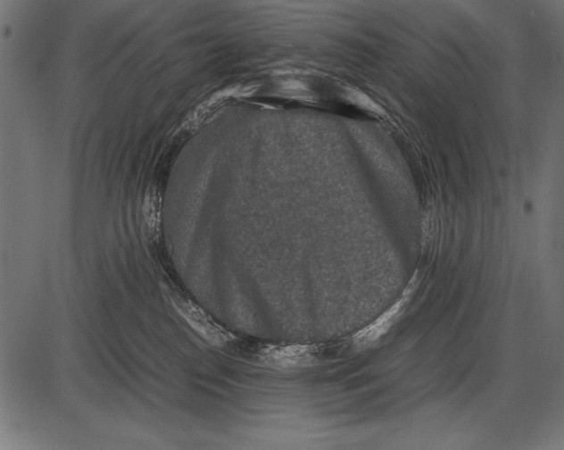 X0000085730186200704091453