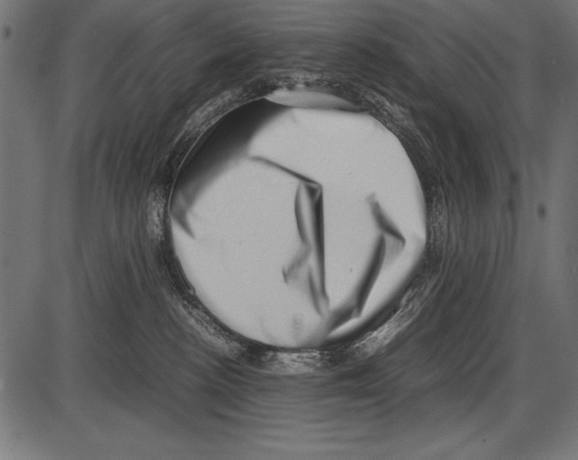 X0000085730188200704091453