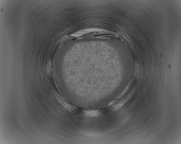 X0000085730189200704091453