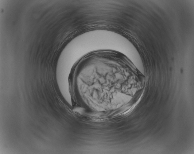 X0000085730190200704091454