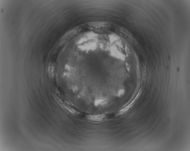 X0000085730191200704091454