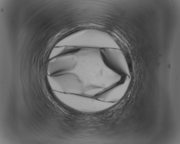 X0000085730193200704091453