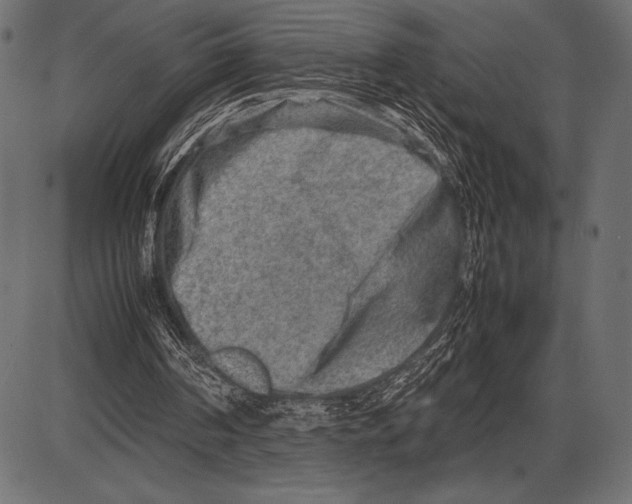 X0000085730194200704091453