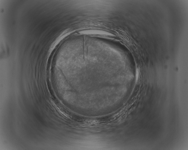 X0000085730195200704091453