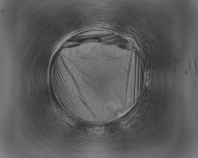 X0000085730196200704091453