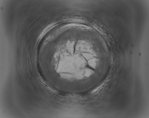 X0000085730199200704091453