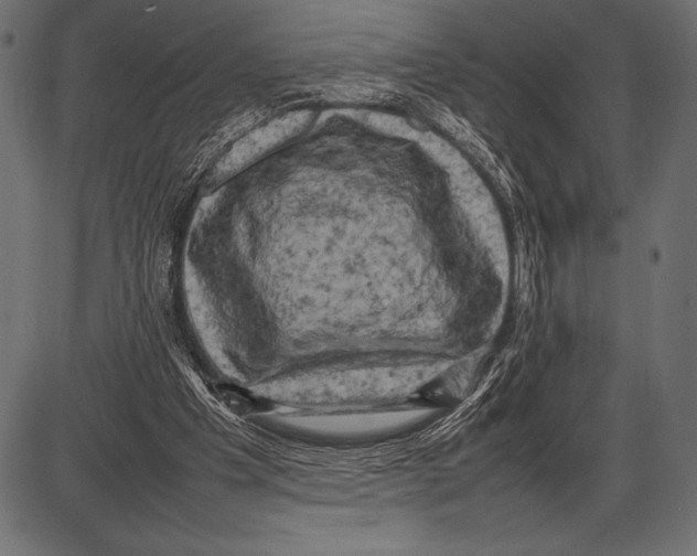 X0000085730201200704091453