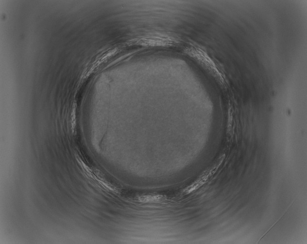 X0000085730202200704091453