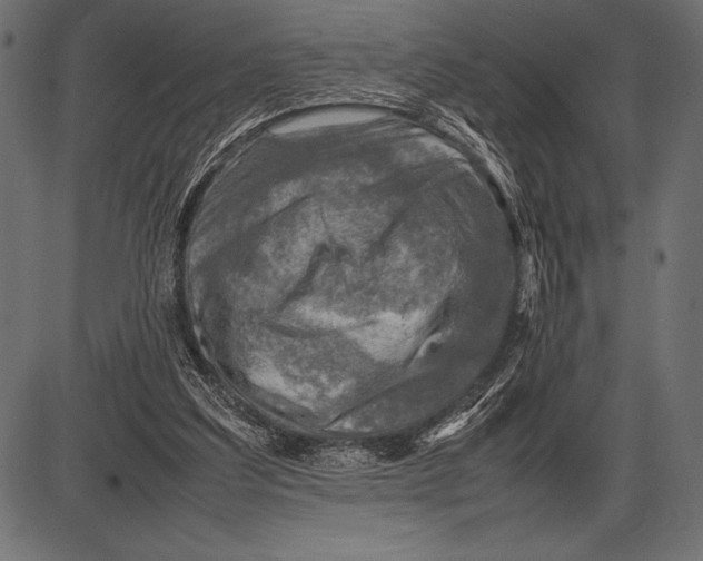 X0000085730203200704091453