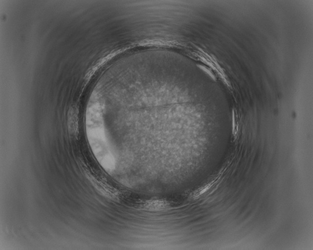 X0000085730204200704091453