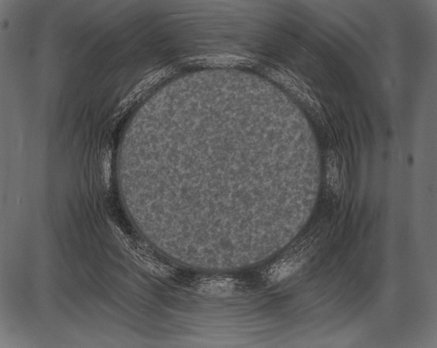 X0000085730206200704091453