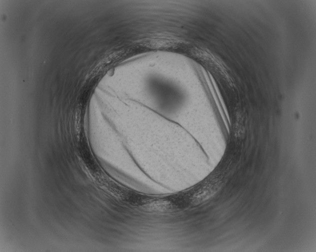 X0000085730210200704091452