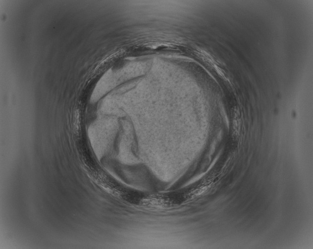 X0000085730211200704091452