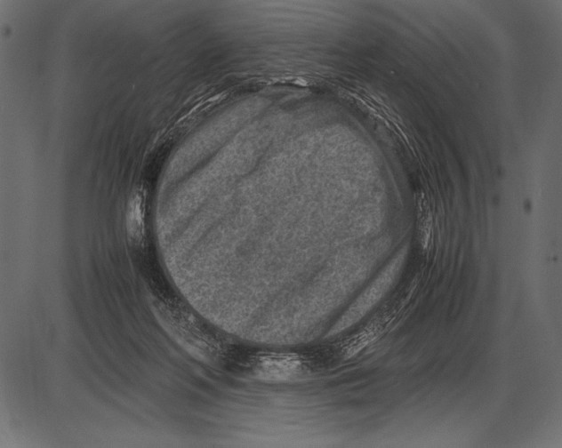 X0000085730214200704091452