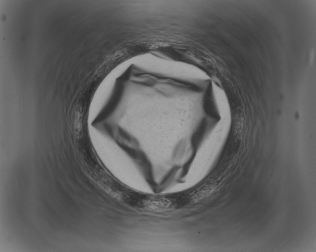 X0000085730215200704091452