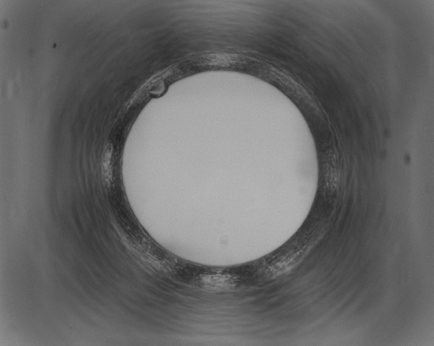 X0000085730216200704091452