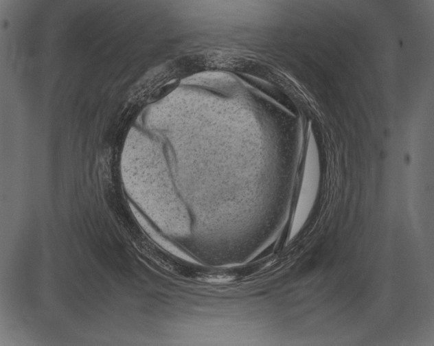 X0000085730217200704091452