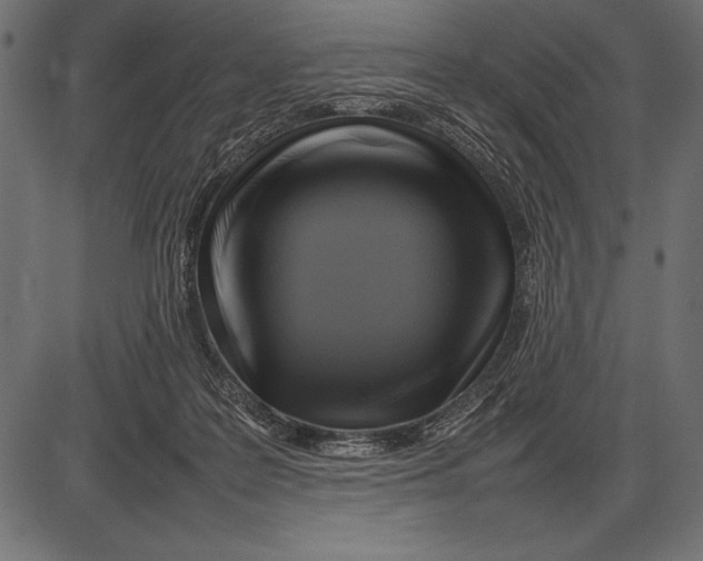 X0000085730219200704091452