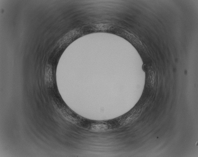 X0000085730220200704091452