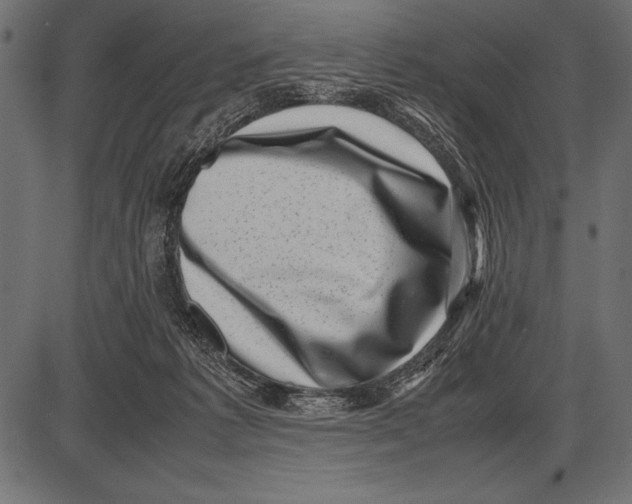 X0000085730221200704091452