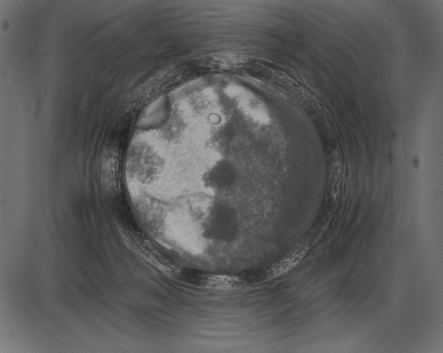 X0000085730222200704091452