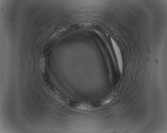 X0000085730223200704091452